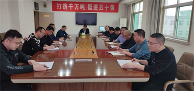聯盛公司學習宣貫張馳書記在區委經濟工作會議上的講話