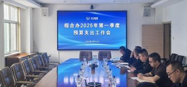 聯(lián)盛公司綜合辦召開(kāi)2025年第一季度預(yù)算支出工作會(huì)