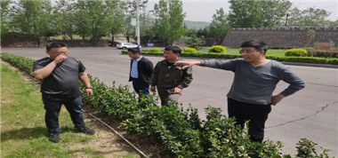 太義掌煤業開展地面綜合大檢查