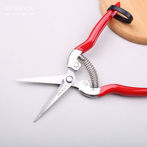 引領(lǐng)電商視覺升級(jí) 專業(yè)產(chǎn)品拍攝與頁面設(shè)計(jì)服務(wù)